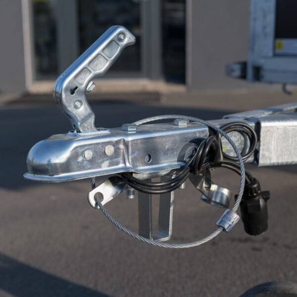 Rimorchio R251 marrone BW Remorques